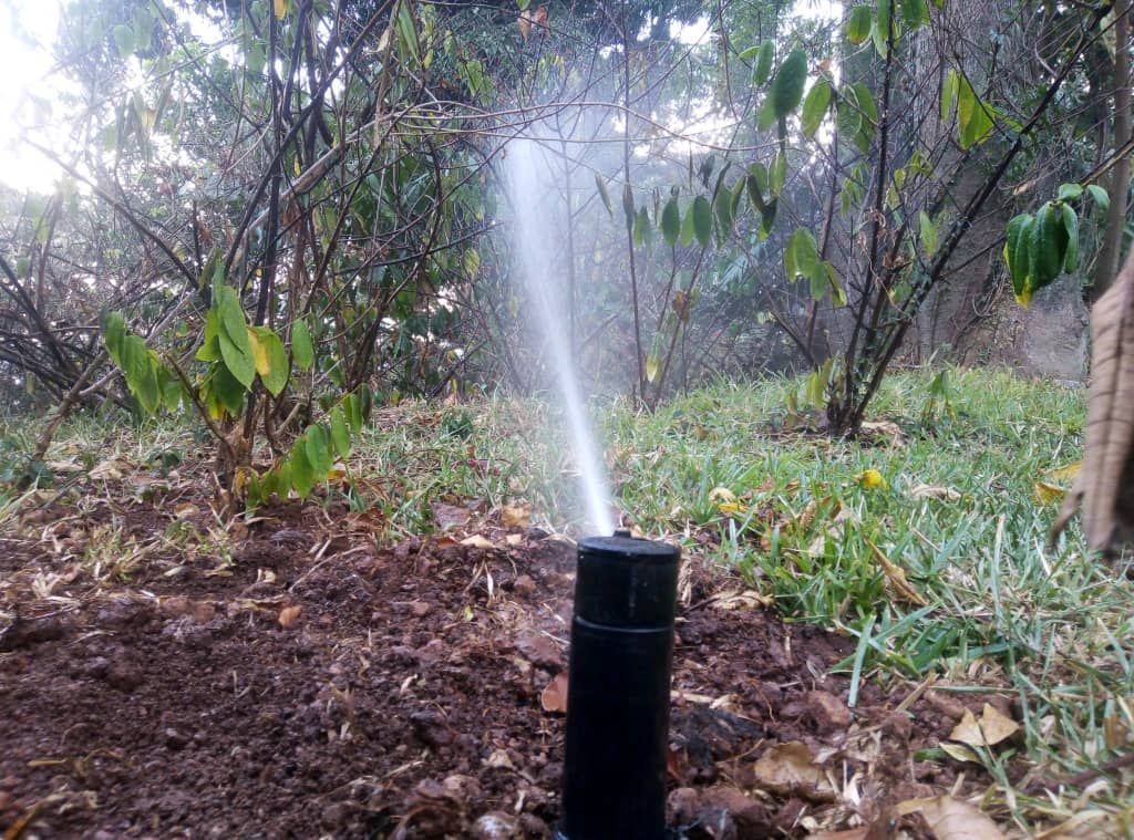 SATTE Ltd Revolutionizes Wastewater Treatment